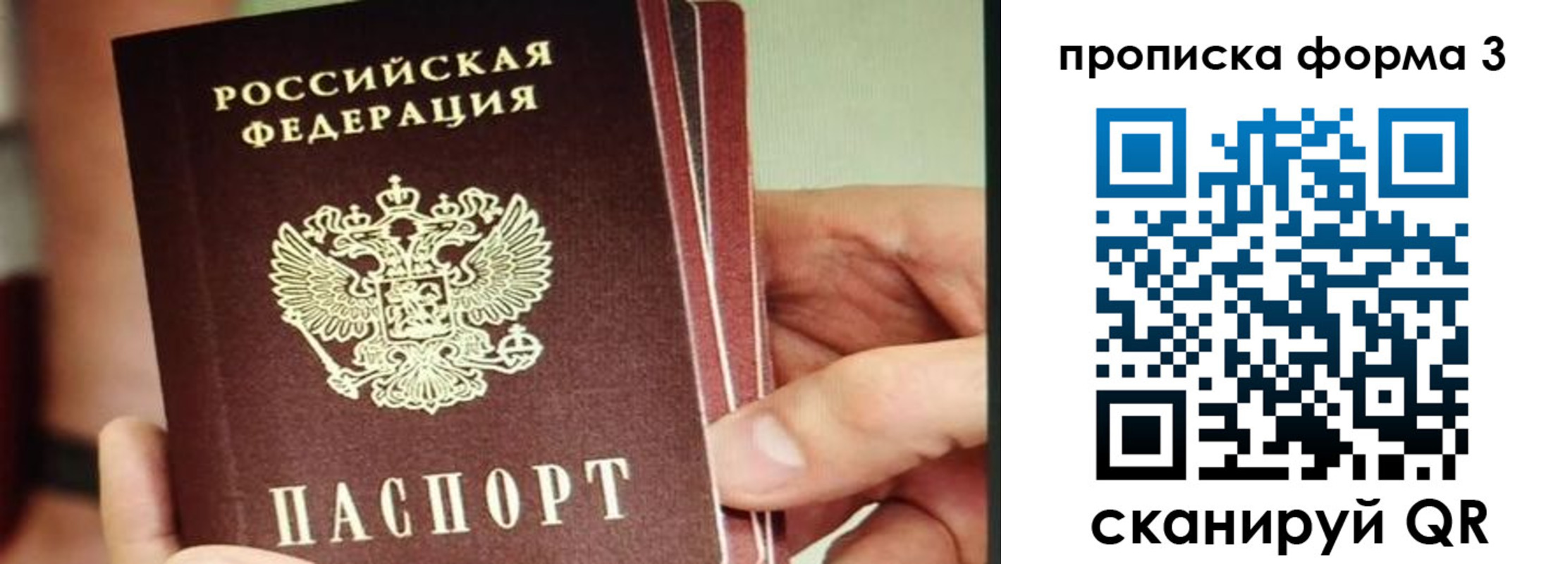 прописка законно в Арсеньеве